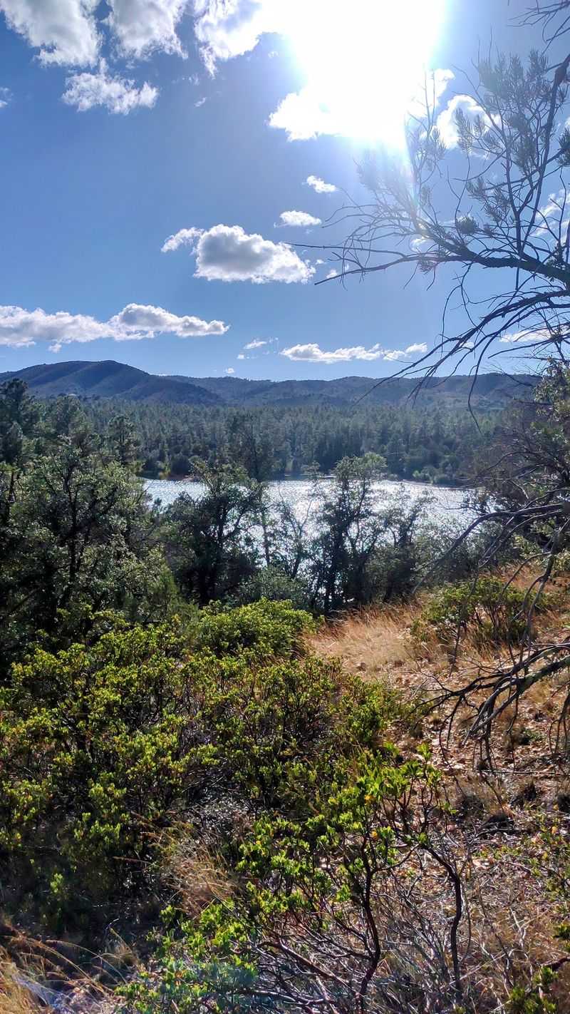 Why Lynx Lake Trail Stands Out In Arizona