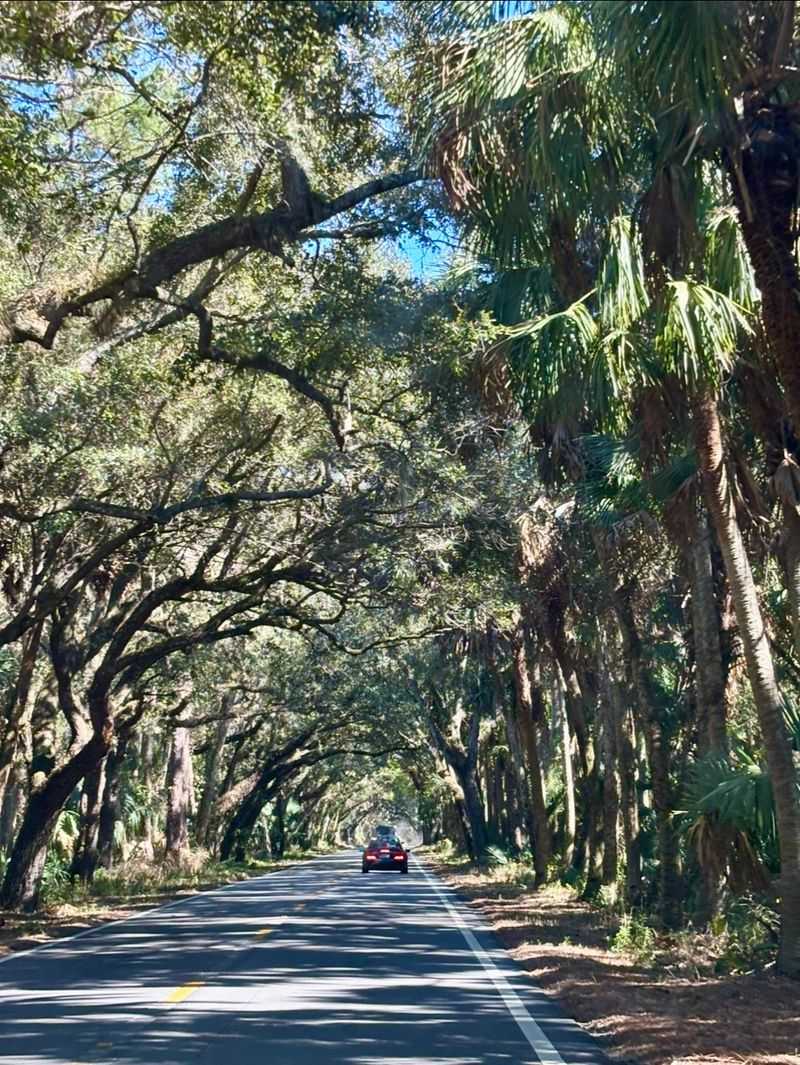 Why Motorcycle Riders Are Obsessed With This Route Why Motorcycle Riders Are Obsessed With This Route