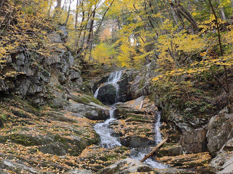 Why Sanderson Brook Waterfall Deserves a Spot on Your Bucket List