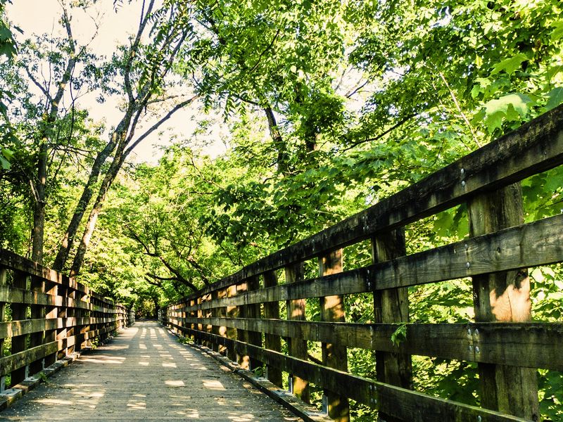 Why So Many Are Choosing This Corner of Virginia