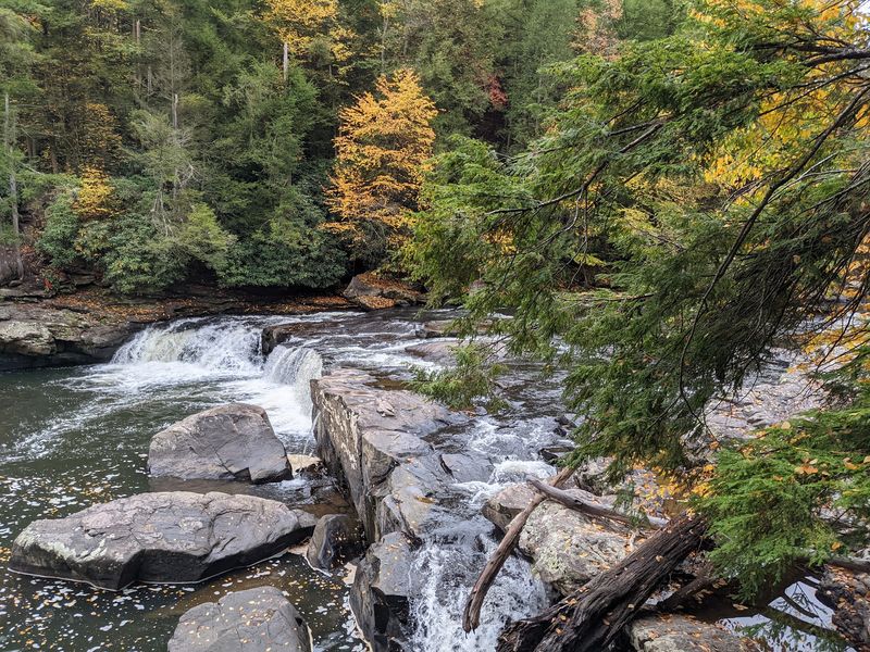Why Swallow Falls Keeps Drawing People Back Year After Year