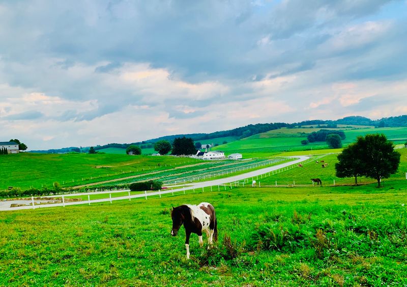 Why The Farm At Walnut Creek Belongs on Your Bucket List