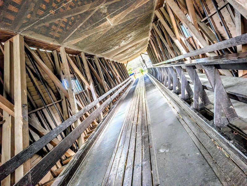 Why This Bridge Stays With You
