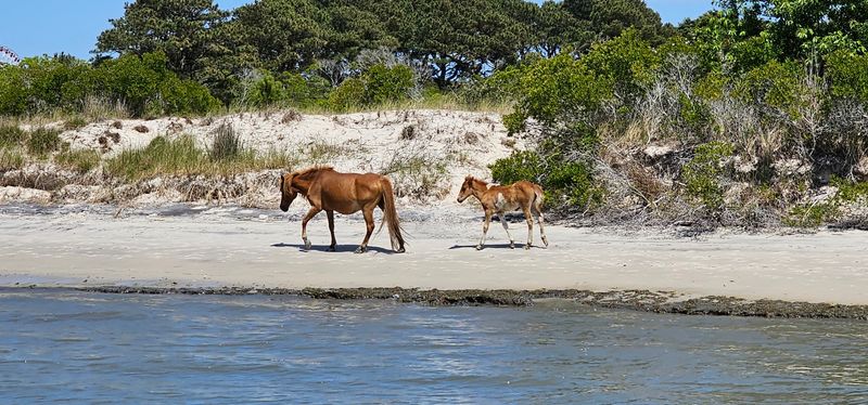 Why This Coastal Oasis Belongs On Your List Why This Coastal Oasis Belongs On Your List