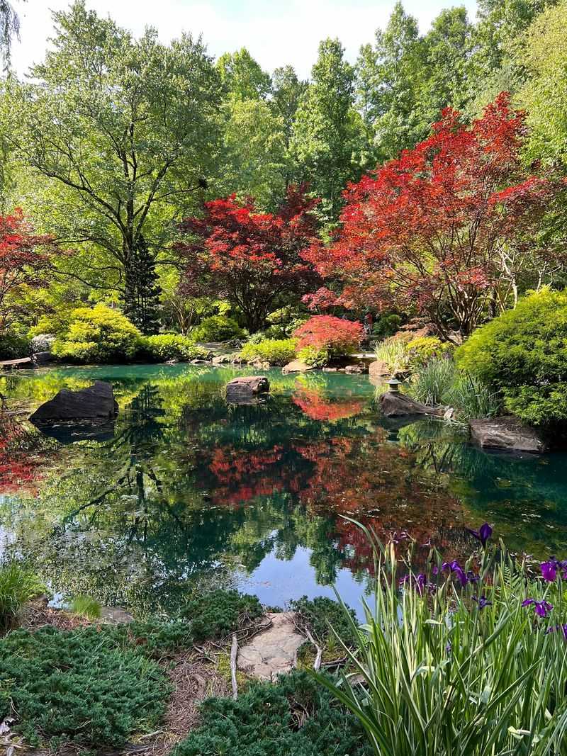 Why This Fairytale Is Worth The Trip Why This Fairytale Is Worth The Trip