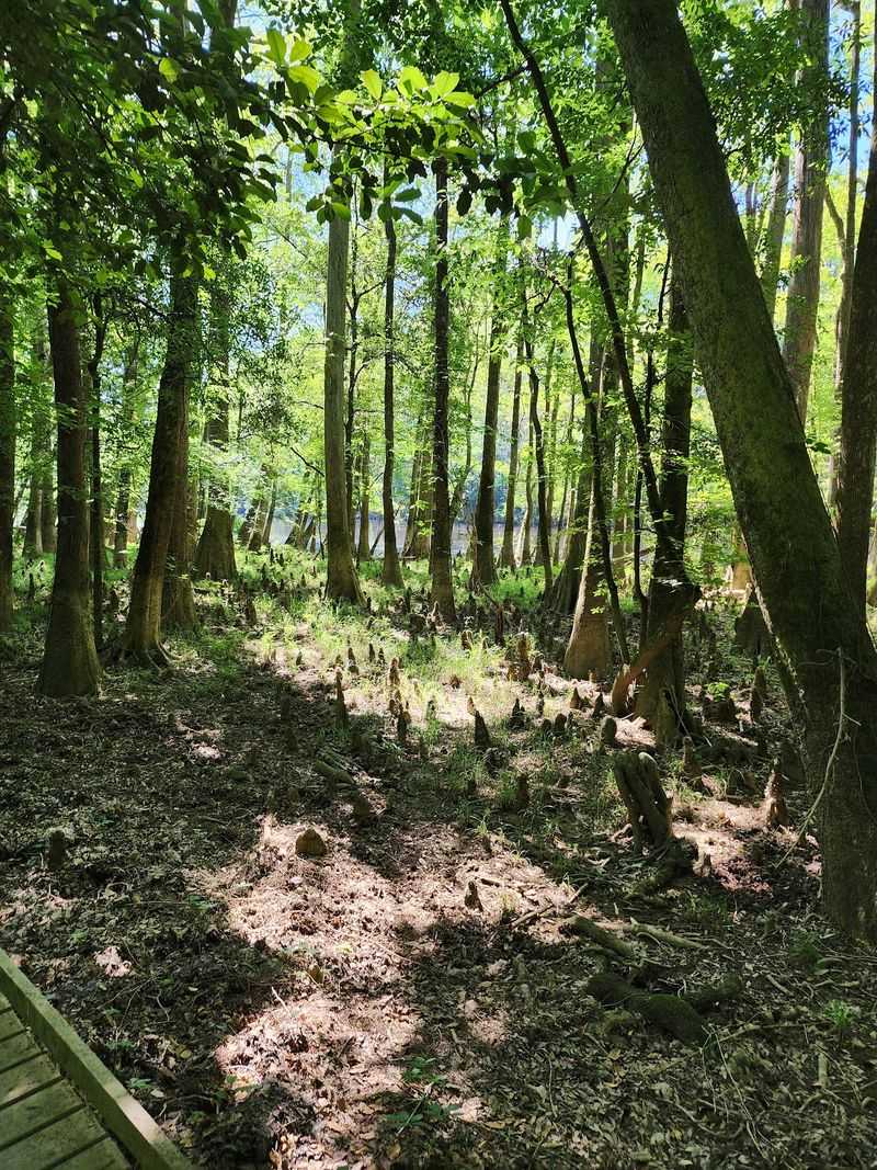 Why This Fairytale Walk Is Worth It