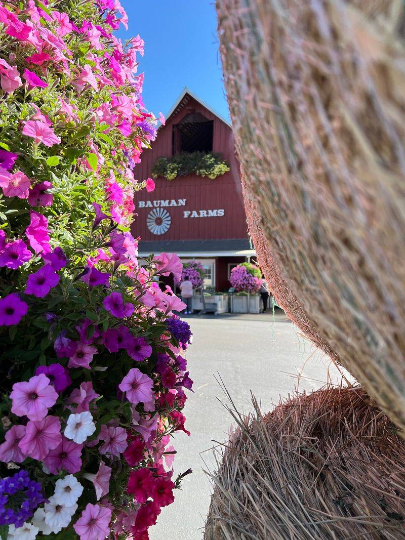Why This Farm Keeps Earning Repeat Trips