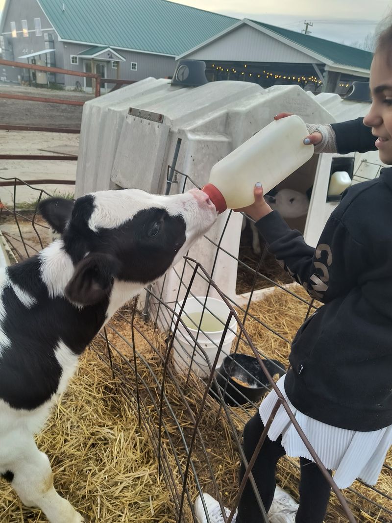Why This Farm Keeps People Coming Back
