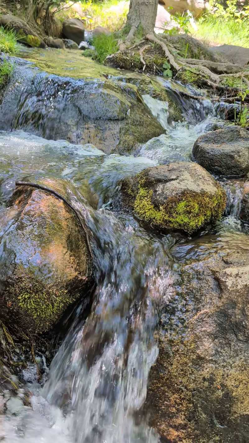 Why This Foothill Retreat Wins Hearts
