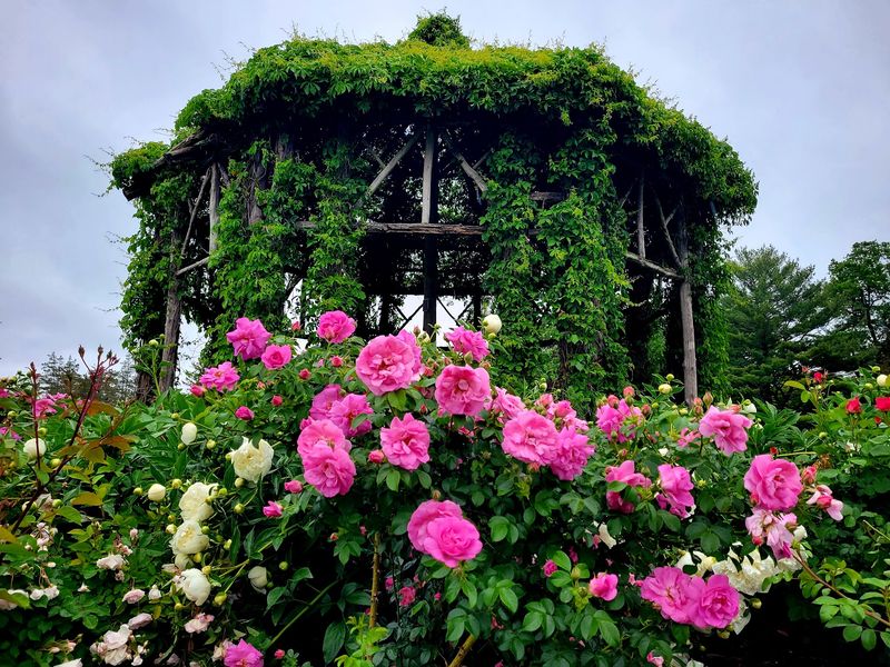 Why This Garden Earns a Return Trip