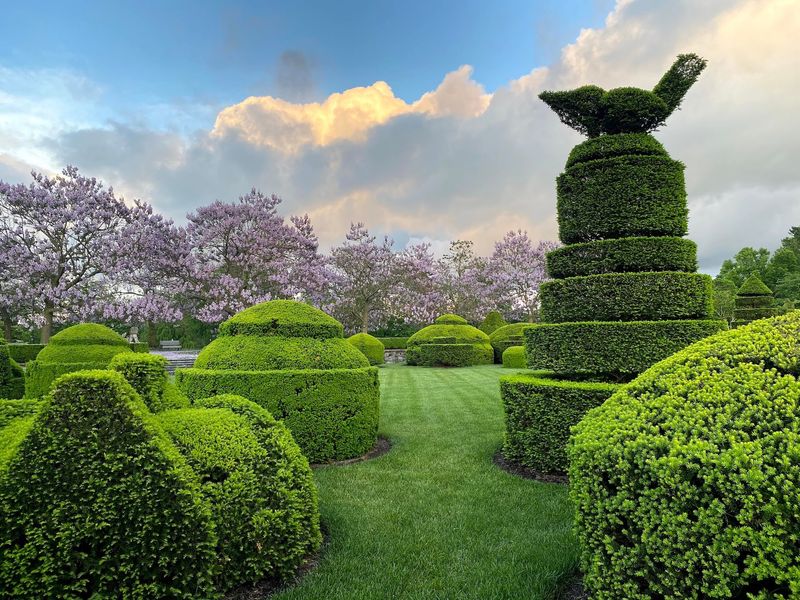 Why This Garden Stays With You