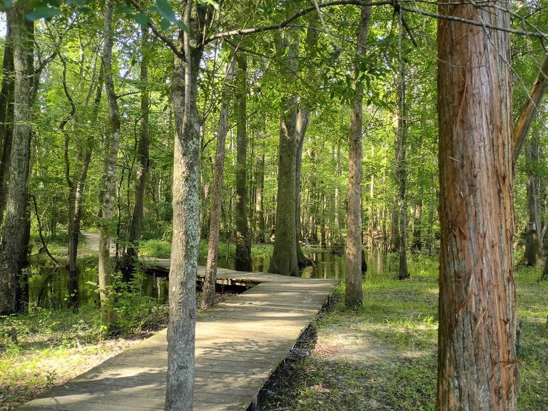 Why This Little Park Earns Its 4.6 Stars Why This Little Park Earns Its 4.6 Stars