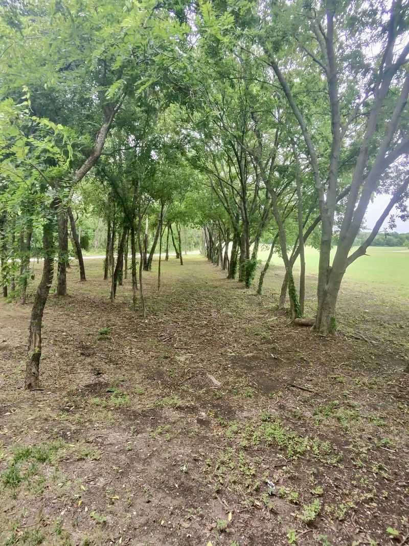 Why This Little Trail Wins Hearts