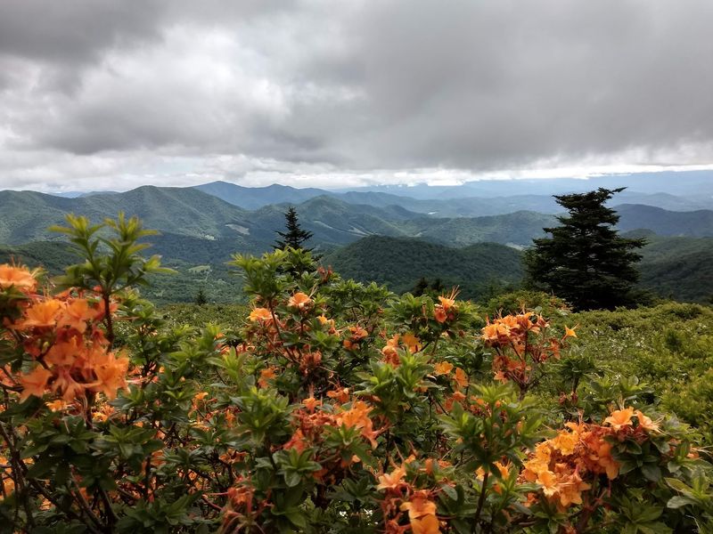 Why This Mountain Keeps Calling People Back