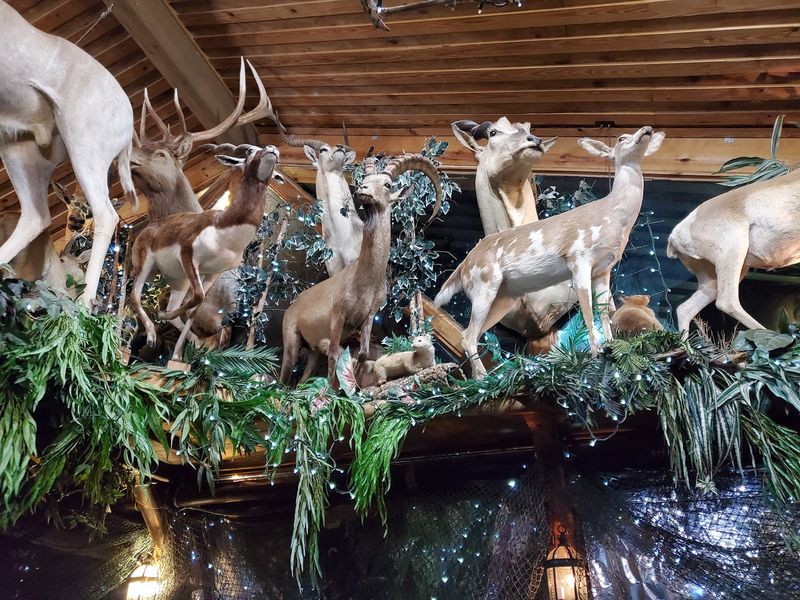 Why This Old Fish Camp Still Draws A Crowd