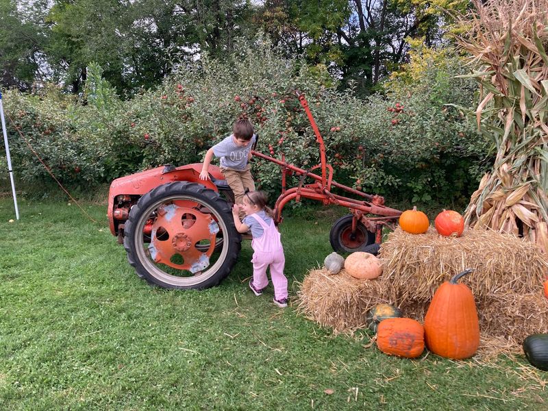 Why This Orchard Earns The Drive