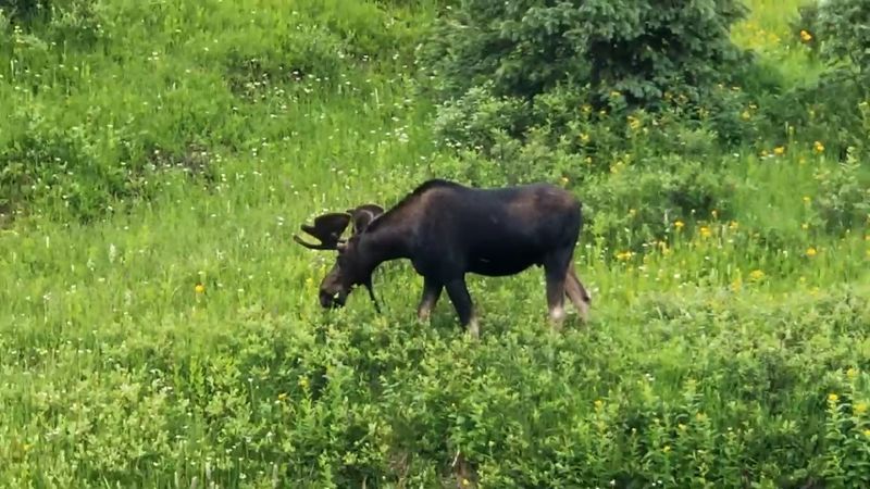 Why This Park Belongs on Your List Why This Park Belongs on Your List