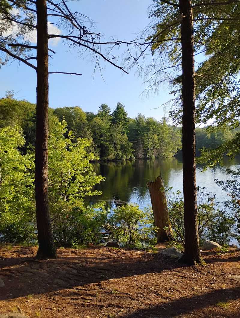 Why This Pond Keeps Calling People Back