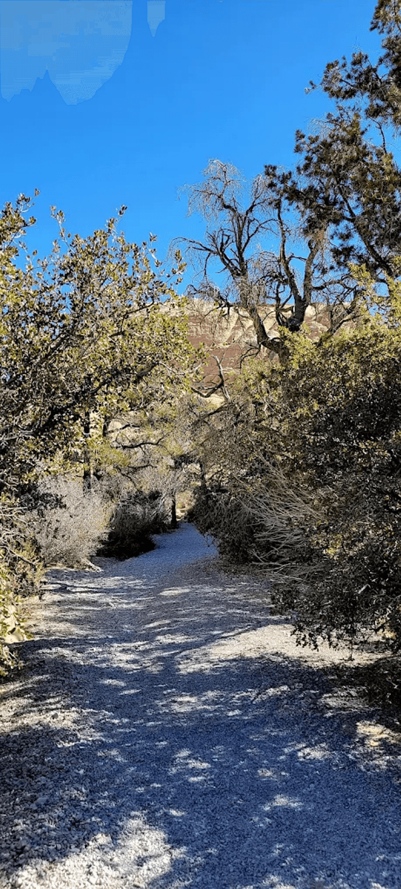 Why This Short Hike Earns Its Fans