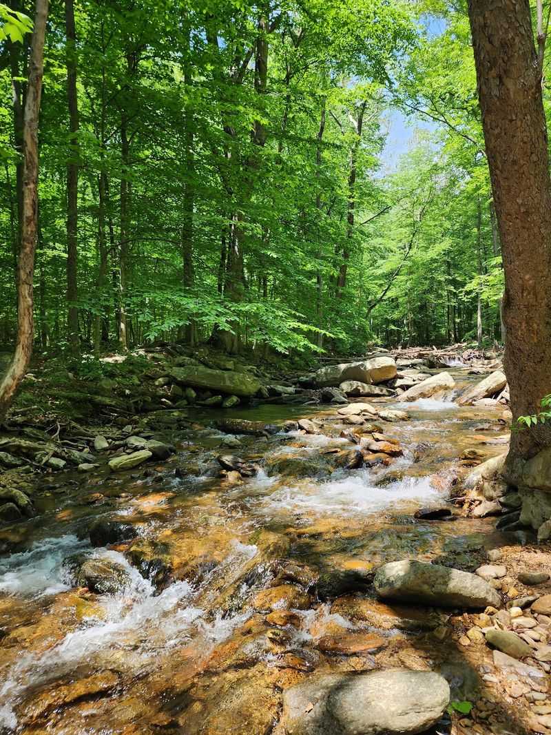 Why This Short Trail Earns The Trip