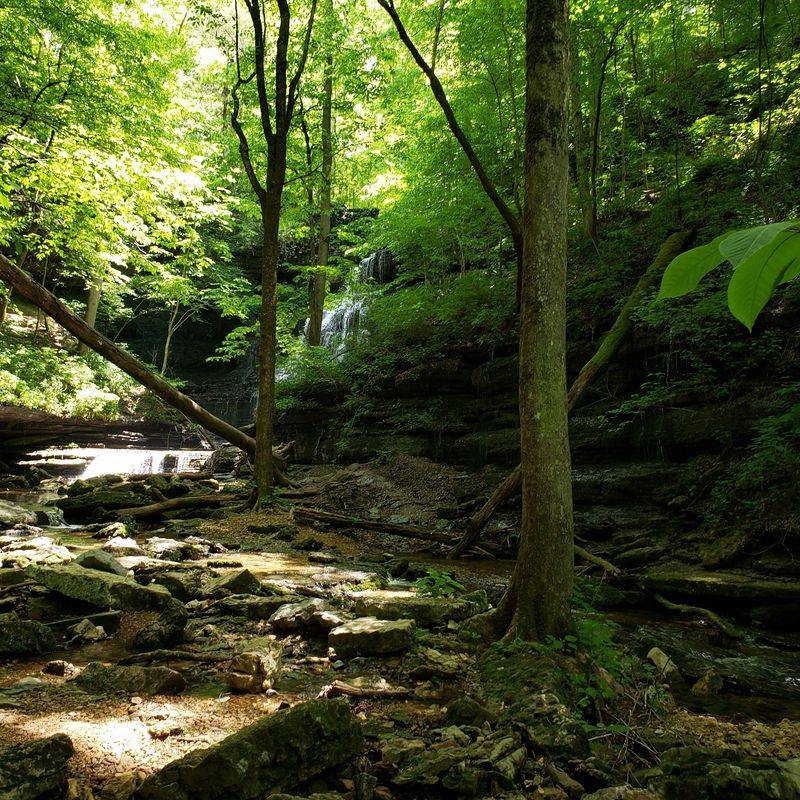 Why This Spot Earns Its Fans Why This Spot Earns Its Fans