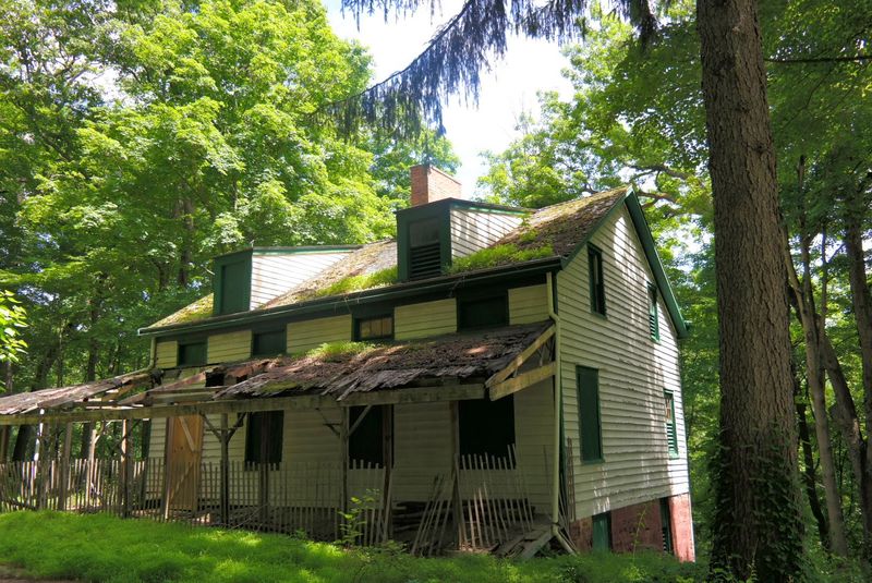 Why This Woodland Escape Is Worth Finding