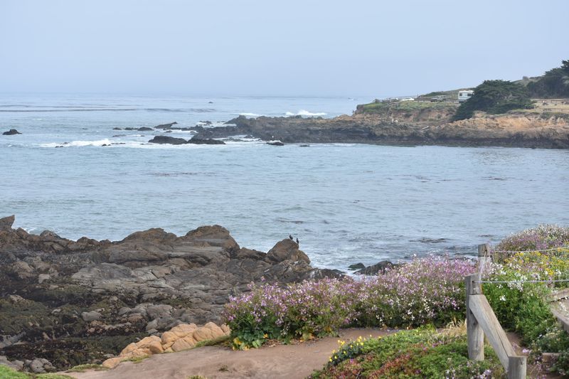 Why the Quiet Coast Stays With You Why the Quiet Coast Stays With You
