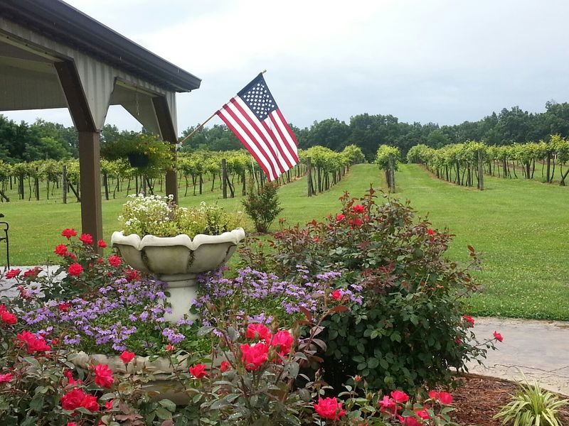 Wight-Meyer Vineyard and Winery, Shepherdsville, Kentucky