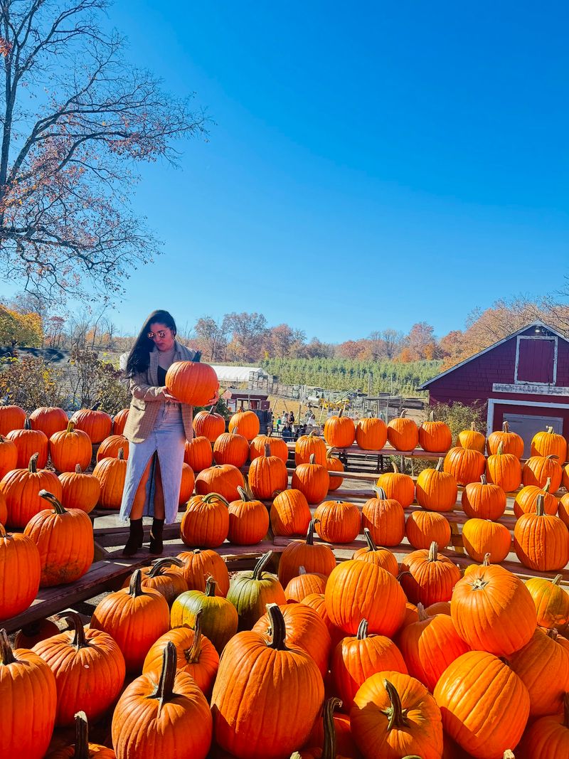 Wightman's Farms, Morristown, New Jersey Wightman's Farms, Morristown, New Jersey