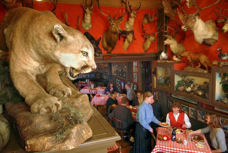 Wild Game That Reads Like an Adventure