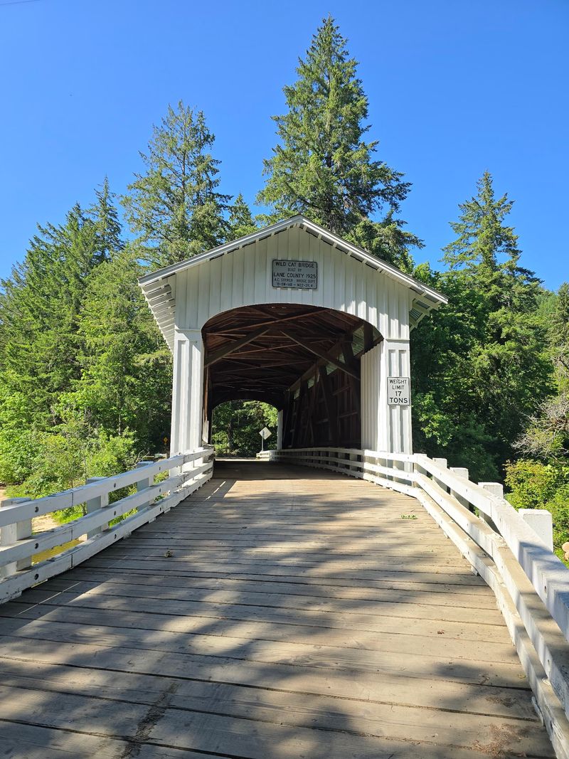 Wildcat Covered Bridge, Walton