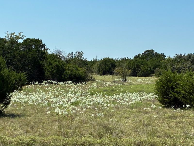 Wildflowers And Scenic Beauty Year-Round
