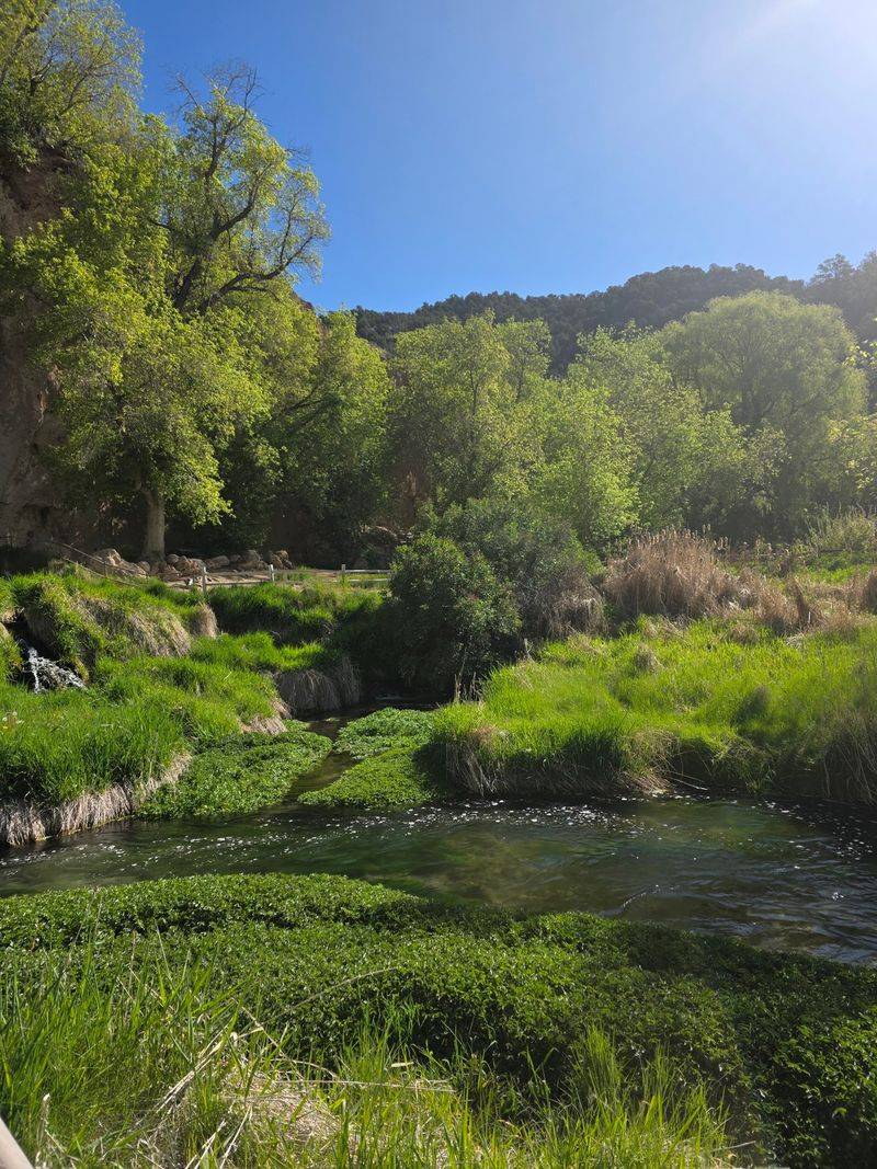 Wildlife And The Creek Below Wildlife And The Creek Below