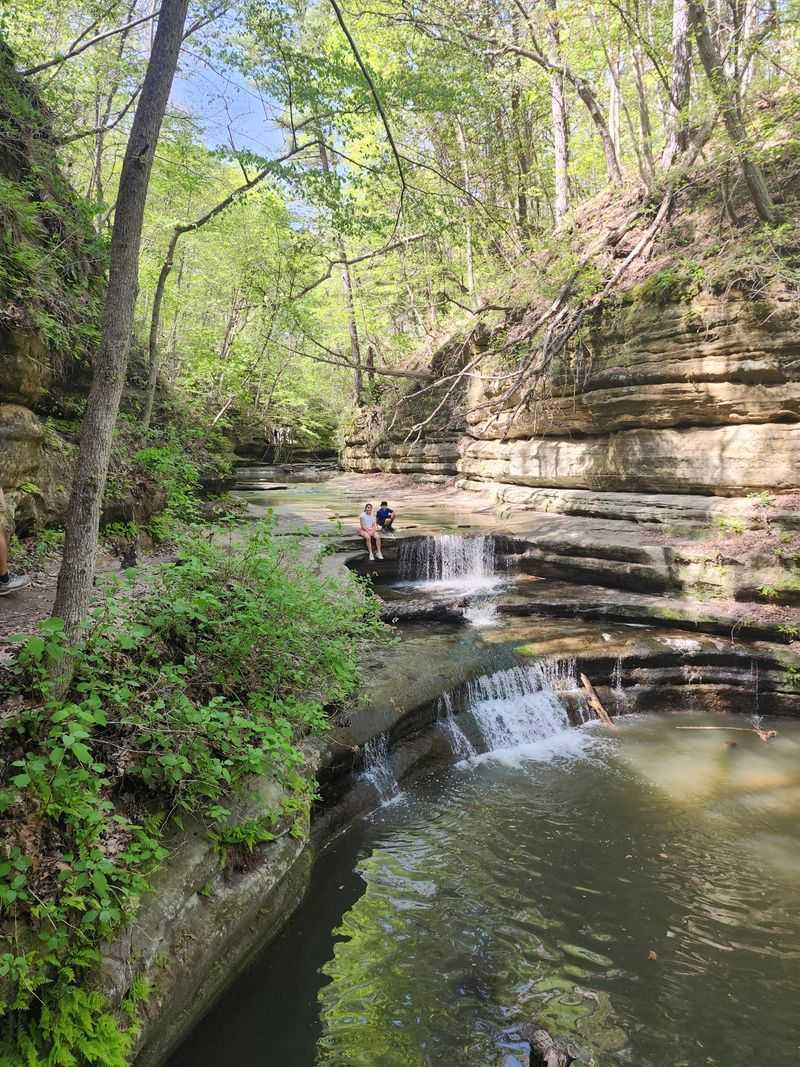 Wildlife, Cliff Swallows, and the Occasional Snake