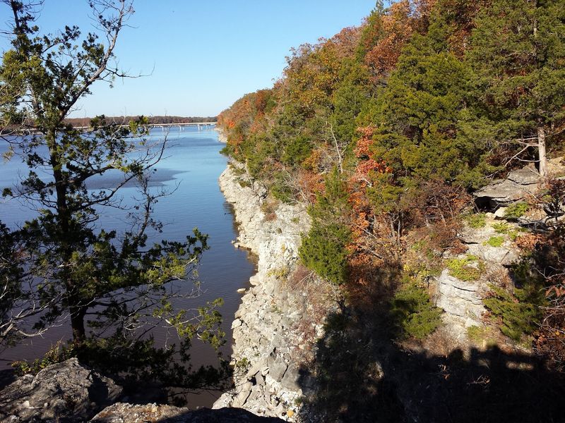 Wildlife, Eagles, and Ancient Arrowheads