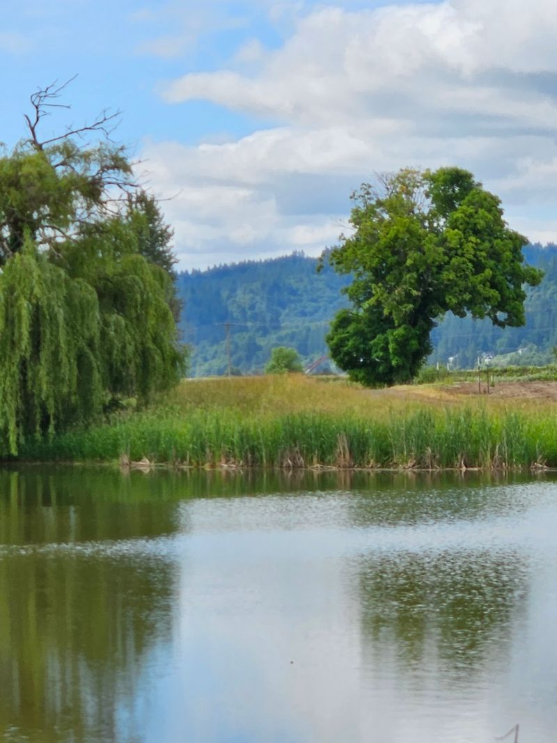 Wildlife Encounters Beyond Just the Birds