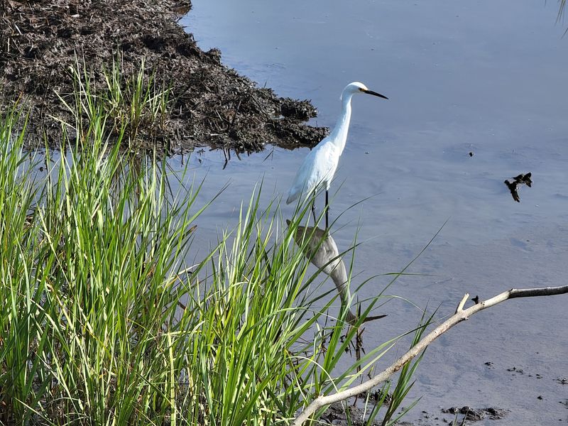 Wildlife Encounters That Will Catch You Off Guard Wildlife Encounters That Will Catch You Off Guard