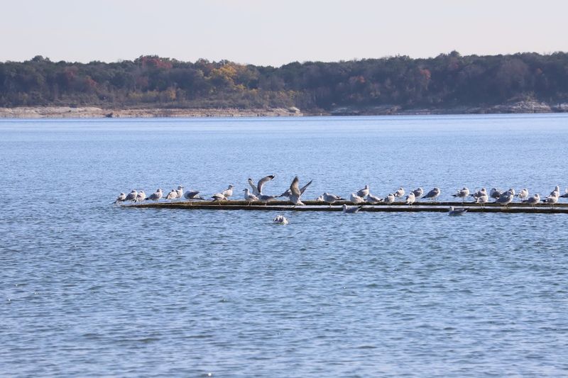 Wildlife Encounters You Will Not Forget