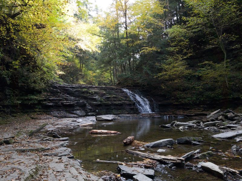 Wildlife, Foliage, And The Changing Seasons Wildlife, Foliage, And The Changing Seasons