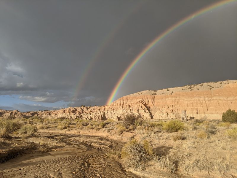 Wildlife, History, and Nearby Detours