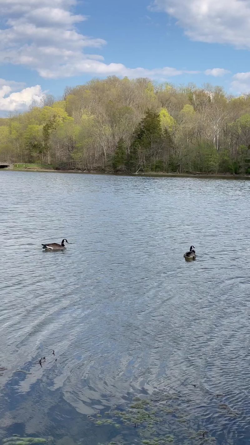 Wildlife Sightings That Catch You Off Guard