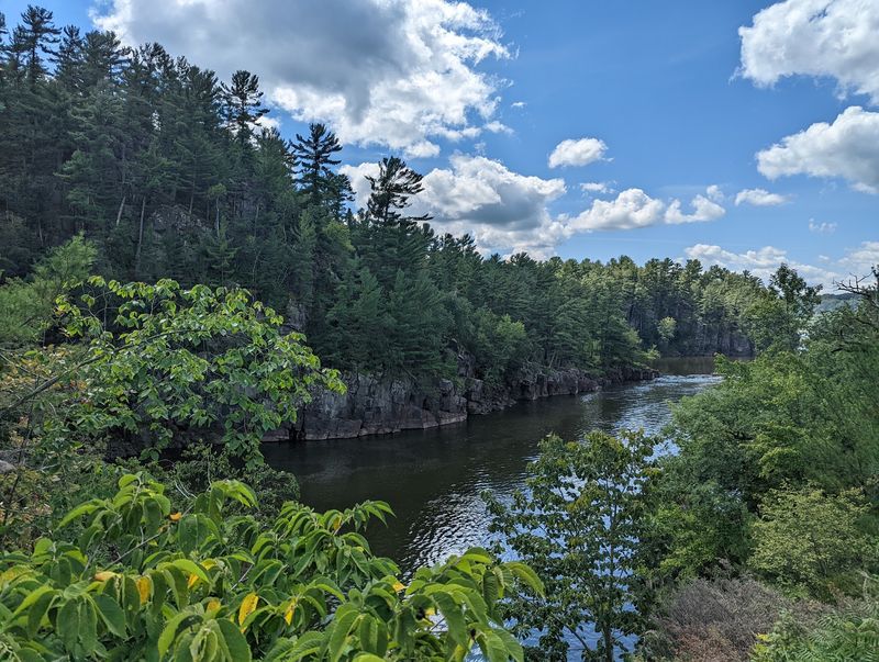 Wildlife Watching Along the River Corridor