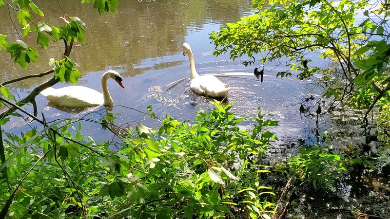 Wildlife Watching That Will Genuinely Surprise You
