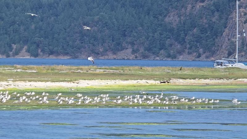 Wildlife Watching That Will Genuinely Surprise You