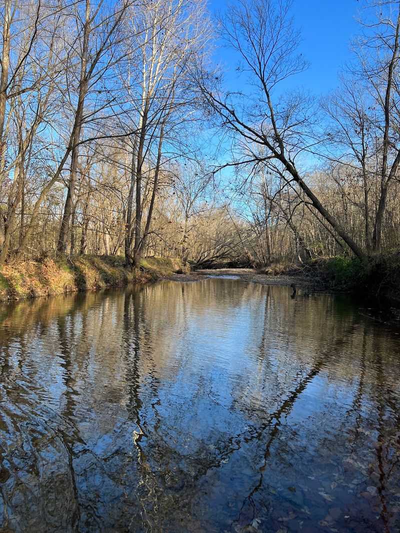 Wildlife, Water, And The Little Details Along The Creek