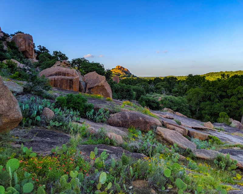 Wildlife, Wildflowers, and a Rock Playground
