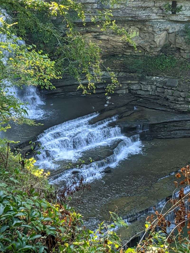 Wildlife and Blooms Along the Way