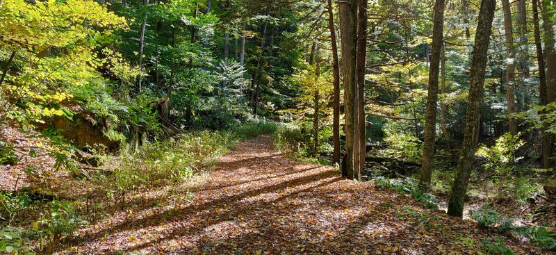Wildlife and Nature Highlights Along the Trail