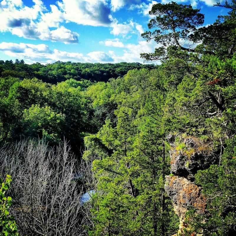 Wildlife and Photography Around Every Bend