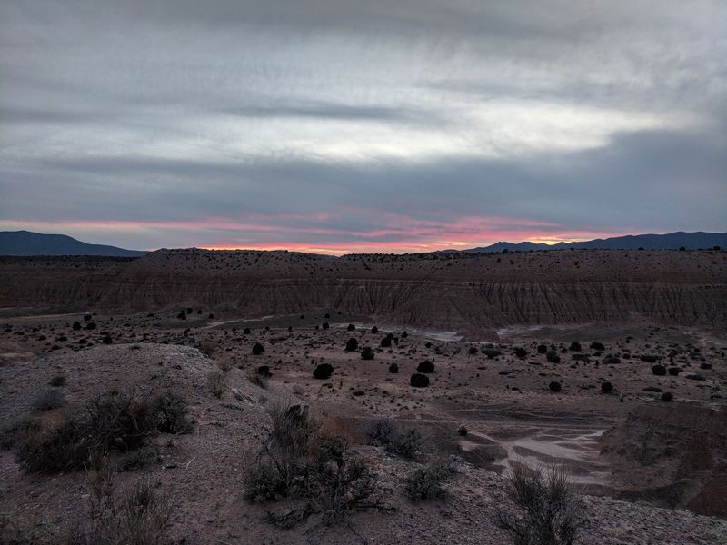 Wildlife and Quiet Desert Moments Wildlife and Quiet Desert Moments